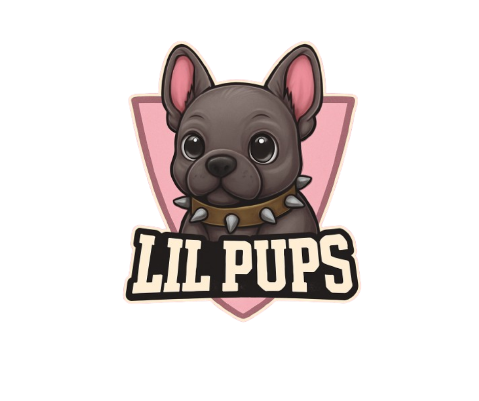 Lil Pups – Girls Flag Football & Fitness